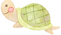 kame黄.png